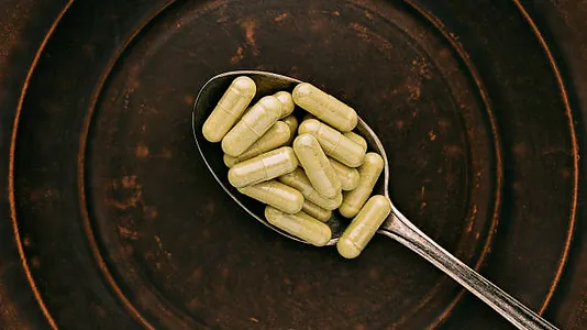Quercetin P.E. 95% Powder HPLC